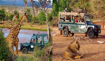 Samburu National Reserve Kenya