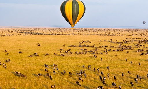 hot air baloon in maai mara National  reserve.