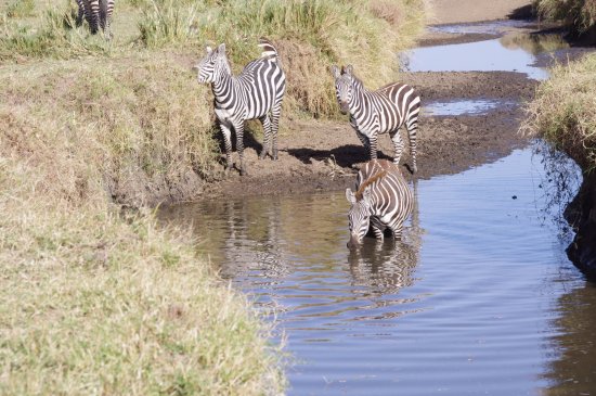 Attractions in Maasai Mara National Reserve 2022