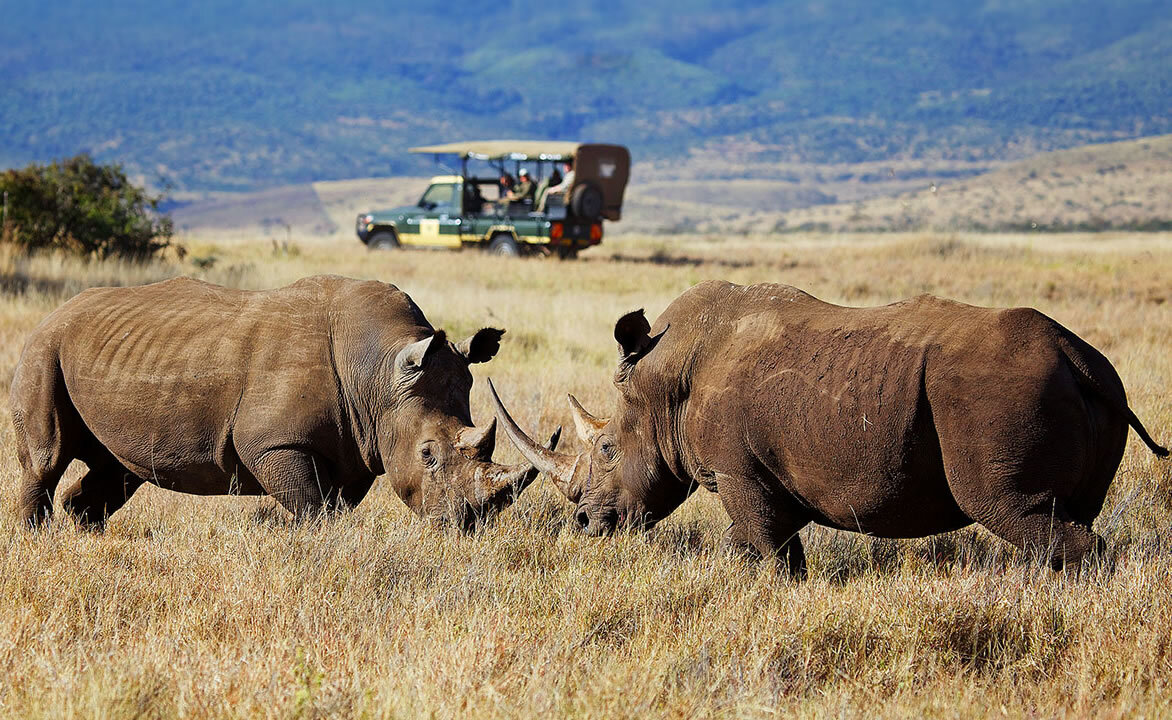 5 days Samburu, Crescent Island and Masai Mara safari