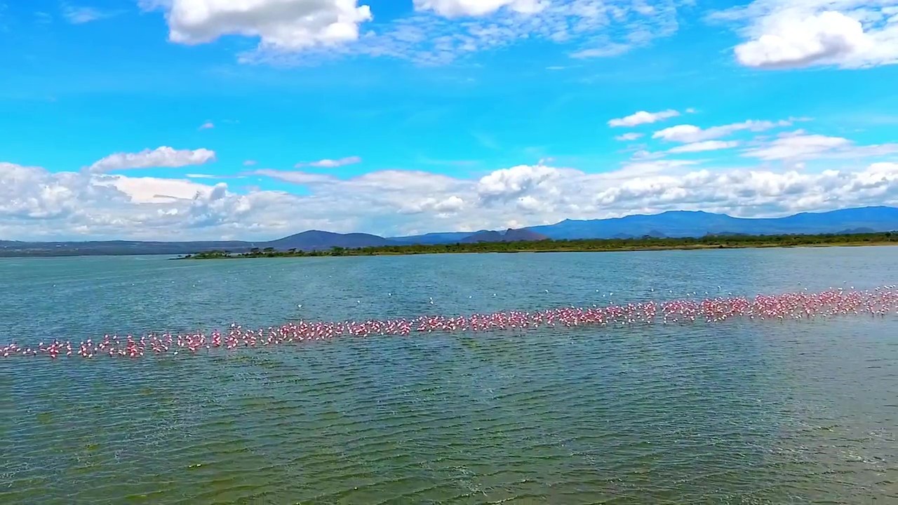 Soda Lakes in Kenya 