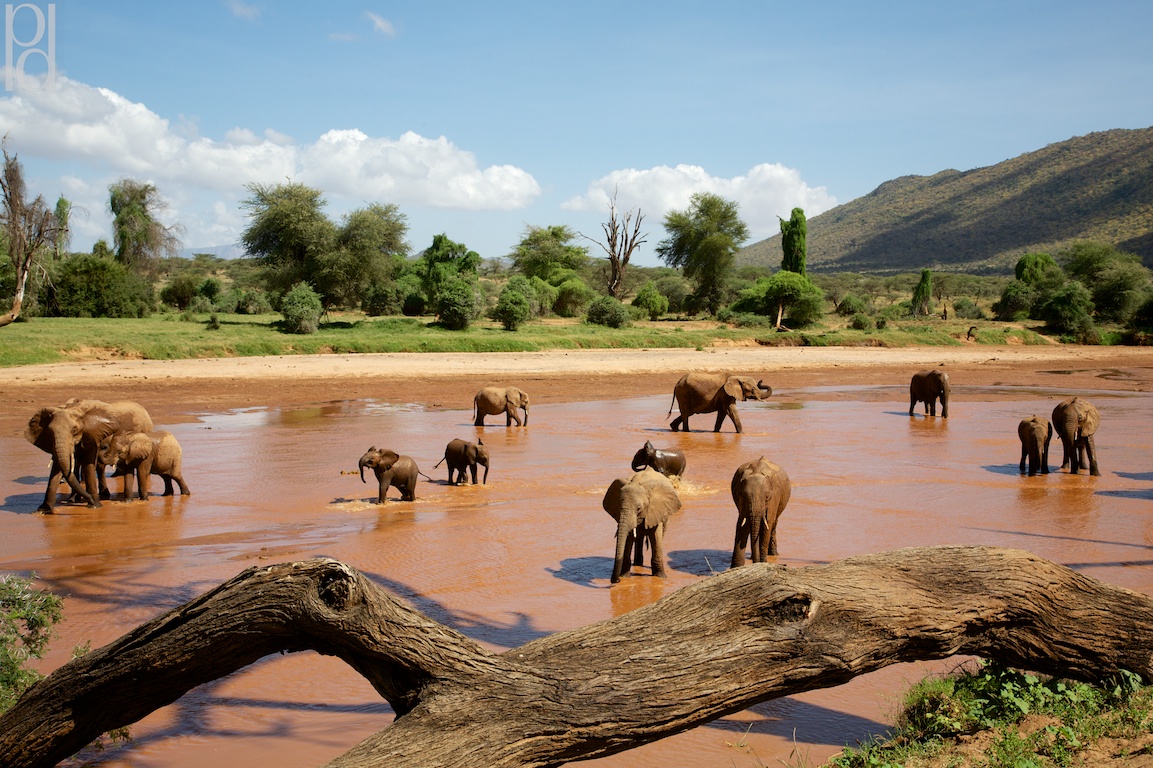 What River is in Samburu National Park?
