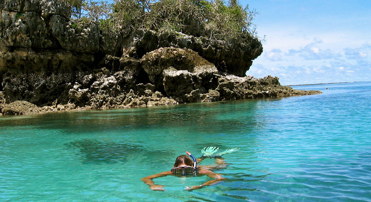 What Can I See in Mafia Island Marine Park?